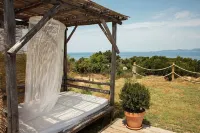 Coti Chiavari: House / Villa - Coti-Chiavari Hotels in Coti-Chiavari