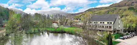 Hotel du Lac Отели в г. Бюль