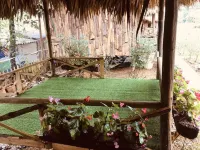 Homestay Vuon Hong Co