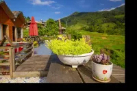 Xoè Homestay Hotels in Pú Trạng