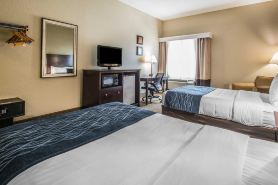 Comfort Inn & Suites DeLand - Near University