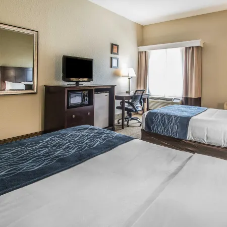 Comfort Inn & Suites DeLand - Near University