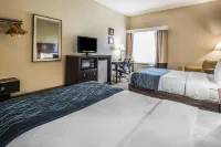 Comfort Inn & Suites DeLand - Near University