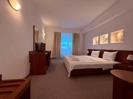 Hotel Excelsior Отели в г. Тимишоара