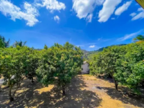 Penginapan AA Bungsu 1 Syariah Ciletuh