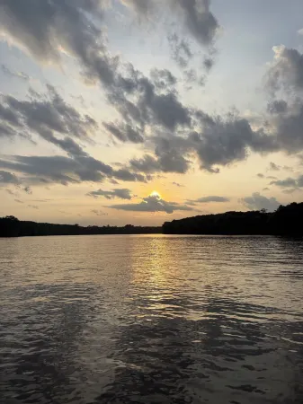 'Beneath the Branches' Cottage Steps to Golf, Tennis, Pool. Pet-Friendly!