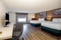 Hilton Garden Inn Hattiesburg - Pools