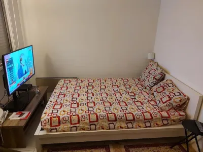 Charming apartment near Lyon train station and 1km from the metro and RER. Hotels near Maisons-Alfort - Les Juilliottes