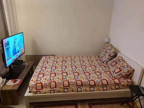 Charming apartment near Lyon train station and 1km from the metro and RER.