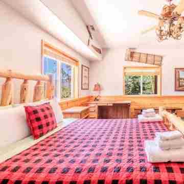 New! Bearadise~ Mighty Bear Manor Rooms