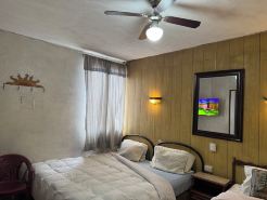 Hotel Metropolitano