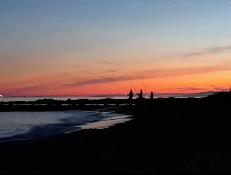 Seaside apartment with sea view - La Rose des Sables