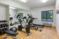 Comfort Inn & Suites Troutville - Roanoke North - Daleville - Gym