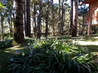 Araucaria Forest 聖本托多薩普卡爾住宿飯店