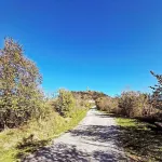 Loft with flowered courtyard in Val d'Orcia Radicofani Hotels in Radicofani