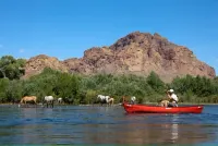 Mesa Oasis - Relax & Unwind