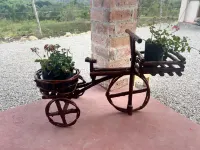 Conecta con la naturaleza en Cerro Beach