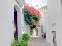 Pura Vida - Apartment In Vejer De La Frontera