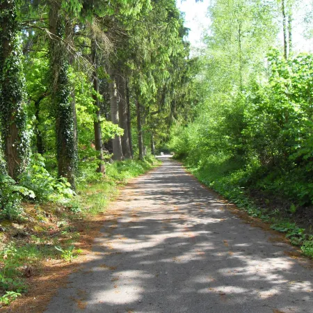 Lakeview Stay in Vielsalm