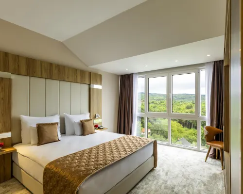 Movenpick Resort and Spa Fruske Terme Rooms Photos