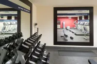 Hampton Inn & Suites Atlanta-Downtown - Gym