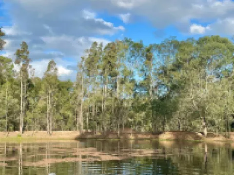 Seehorse Meadows, a Farm Stay in Churchable! Hotels in Gatton