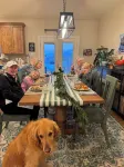 Marysvale Adventure Retreat - Homestays