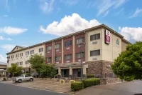 Best Western Plus Shamrock Inn  Suites Hôtels à : Shamrock