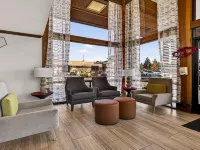 Best Western Amador Inn Hotels in Jackson