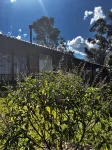 Locanda di Lucca Pousada de Experiência - Villas