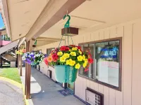 Branding Iron Motel - parking