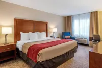 Comfort Inn & Suites - Wifi