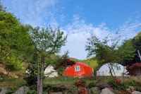 Wonju Forest Dome - Swimmingpools