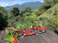 Boquete Cloud Forest Lodge - Hot Springs