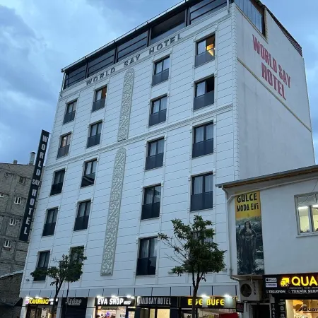 World Say Hotel