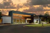 Courtyard Atlanta Airport South/Sullivan Road - spa
