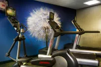 SpringHill Suites Dallas DFW Airport North/Grapevine - Gym