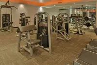 Hotel Victor South Beach - palestra