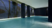 Mamilla Hotel - مسبح