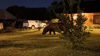 Odegaard Safari Lodge - 2-Star