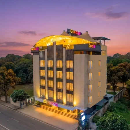 Ginger Indore Nipania
