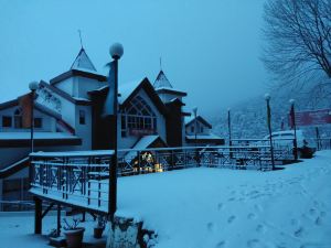 Deventure Hotel Chail