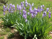 B&b Guest House "Domaine le Clos du Pavillon" Provence