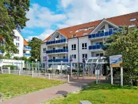 Blaumuschel (Lub108)