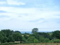 Chez Yvonne
