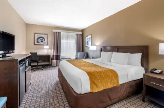 Comfort Inn & Suites Hotels near Cincinnati Zoo & Botanical Garden