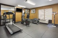 Holiday Inn Express BEREA by IHG - Gym