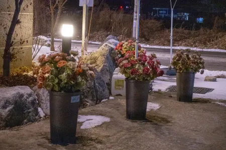 Yeoju Haneuli Yeolineun Motel