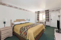 ซุปเปอร์ 8 บายวินด์แฮม คอตตอนวูด โรงแรมใกล้Horsin Around Adventures