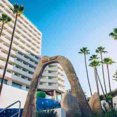 Iberostar Bouganville Playa Hotel Exterior